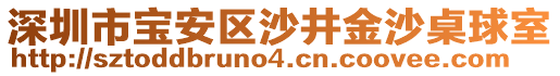 深圳市寶安區(qū)沙井金沙桌球室