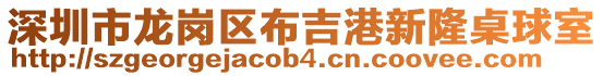 深圳市龍崗區(qū)布吉港新隆桌球室