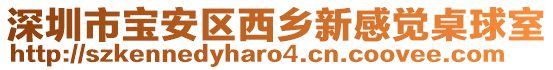 深圳市寶安區西鄉新感覺桌球室