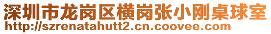 深圳市龍崗區橫崗張小剛桌球室