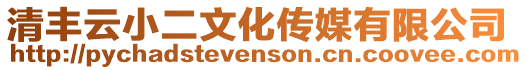 清豐云小二文化傳媒有限公司