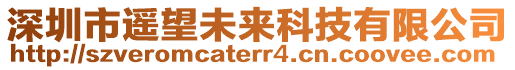 深圳市遙望未來科技有限公司