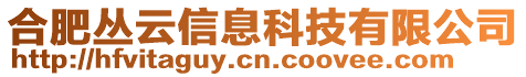 合肥叢云信息科技有限公司