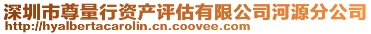 深圳市尊量行资产评估有限公司河源分公司