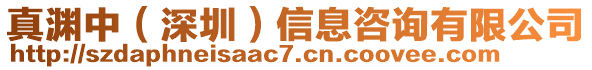 真淵中（深圳）信息咨詢有限公司