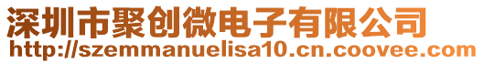 深圳市聚創微電子有限公司