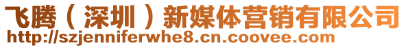 飛騰（深圳）新媒體營銷有限公司