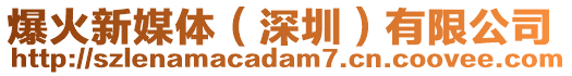 爆火新媒體（深圳）有限公司