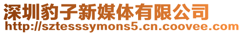 深圳豹子新媒體有限公司