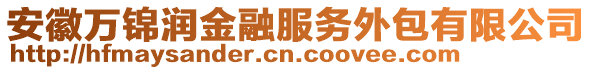 安徽萬(wàn)錦潤(rùn)金融服務(wù)外包有限公司