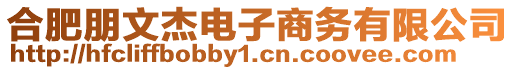 合肥朋文杰電子商務有限公司