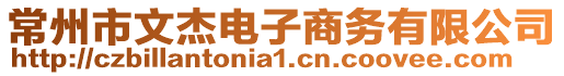 常州市文杰電子商務有限公司