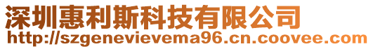 深圳惠利斯科技有限公司