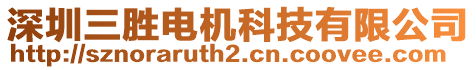 深圳三勝電機科技有限公司