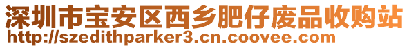 深圳市寶安區(qū)西鄉(xiāng)肥仔廢品收購站