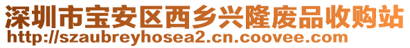 深圳市寶安區(qū)西鄉(xiāng)興隆廢品收購站