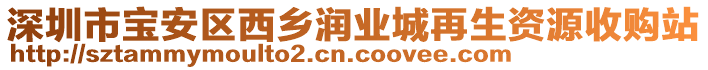 深圳市寶安區(qū)西鄉(xiāng)潤(rùn)業(yè)城再生資源收購(gòu)站