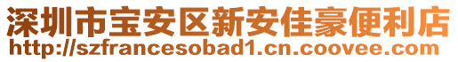 深圳市寶安區新安佳豪便利店