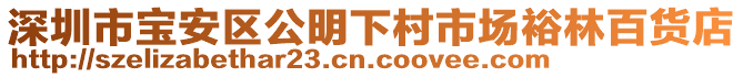 深圳市寶安區(qū)公明下村市場(chǎng)裕林百貨店