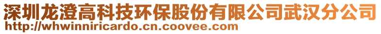 深圳龍澄高科技環(huán)保股份有限公司武漢分公司