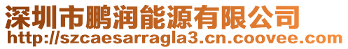 深圳市鵬潤能源有限公司