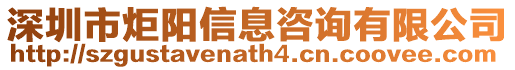 深圳市炬阳信息咨询有限公司