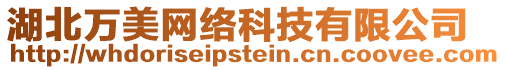 湖北萬(wàn)美網(wǎng)絡(luò)科技有限公司