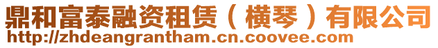 鼎和富泰融資租賃(橫琴)有限公司