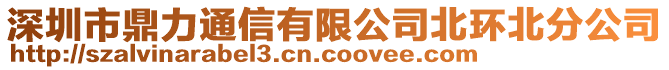 深圳市鼎力通信有限公司北環(huán)北分公司