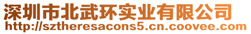 深圳市北武環實業有限公司