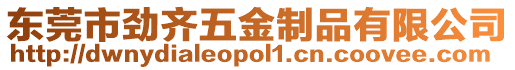 東莞市勁齊五金制品有限公司