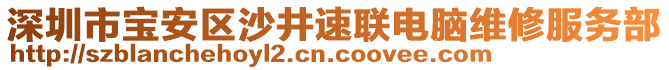 深圳市寶安區(qū)沙井速聯(lián)電腦維修服務(wù)部