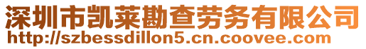 深圳市凱萊勘查勞務(wù)有限公司