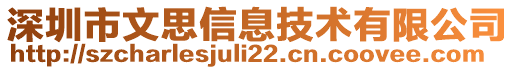 深圳市文思信息技術(shù)有限公司