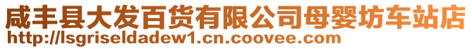 咸豐縣大發(fā)百貨有限公司母嬰坊車站店