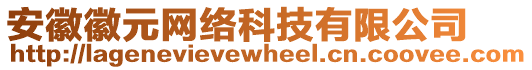 安徽徽元網(wǎng)絡(luò)科技有限公司