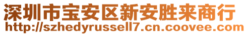 深圳市宝安区新安胜来商行