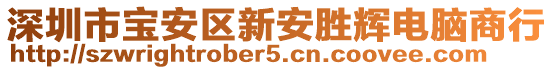 深圳市寶安區(qū)新安勝輝電腦商行