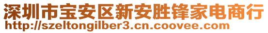 深圳市寶安區(qū)新安勝鋒家電商行