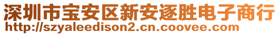 深圳市宝安区新安逐胜电子商行