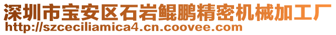 深圳市寶安區(qū)石巖鯤鵬精密機(jī)械加工廠(chǎng)