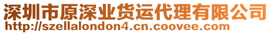 深圳市原深業(yè)貨運代理有限公司