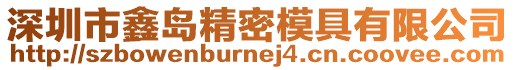 深圳市鑫島精密模具有限公司