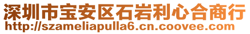 深圳市寶安區(qū)石巖利心合商行