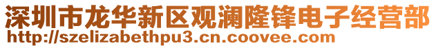 深圳市龍華新區(qū)觀瀾隆鋒電子經(jīng)營(yíng)部