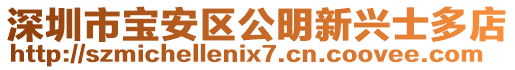深圳市寶安區(qū)公明新興士多店
