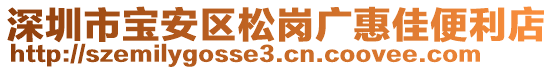 深圳市寶安區(qū)松崗廣惠佳便利店