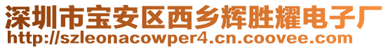 深圳市寶安區(qū)西鄉(xiāng)輝勝耀電子廠