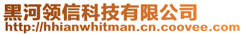 黑河領(lǐng)信科技有限公司