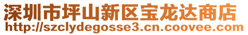 深圳市坪山新區(qū)寶龍達(dá)商店
